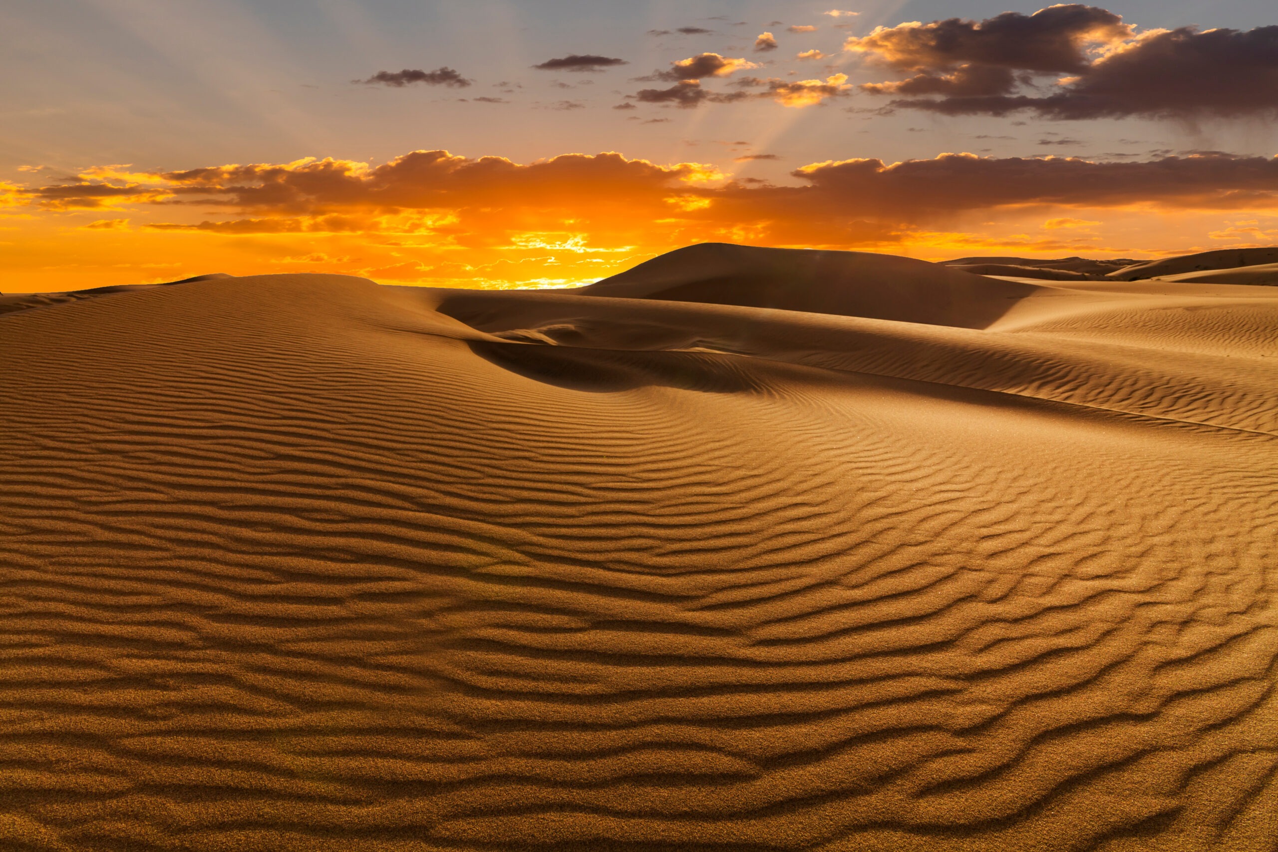 Sunset,Over,The,Sand,Dunes,In,The,Desert.,Arid,Landscape